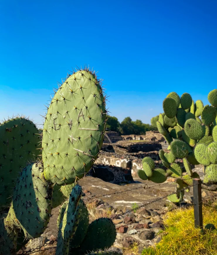 Teotihuacán
