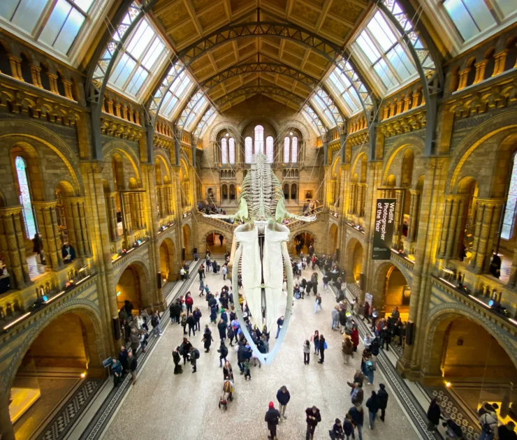Natural History Museum
