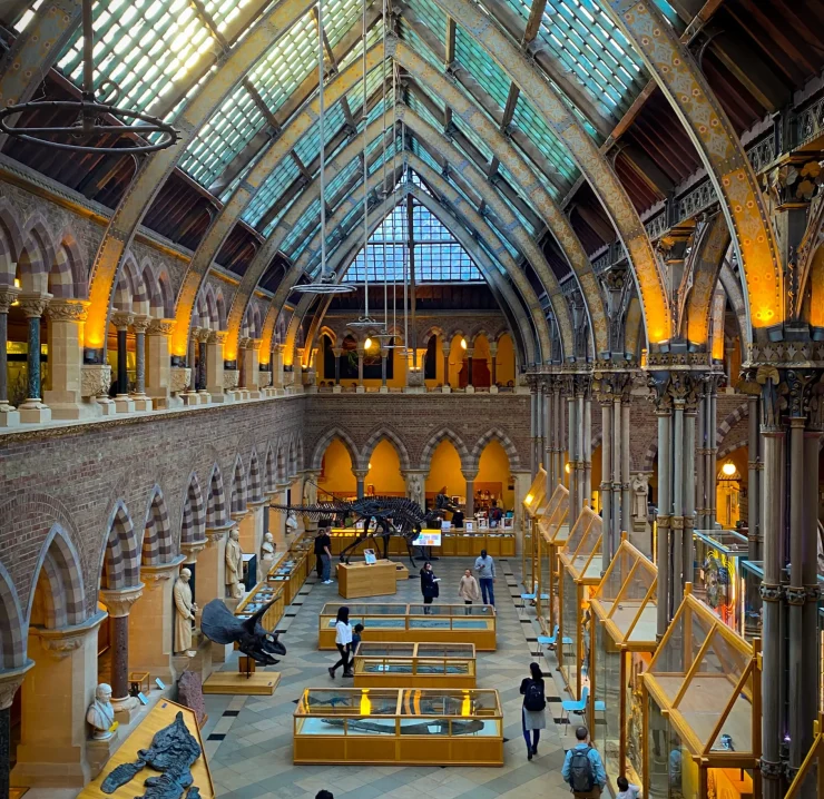 Oxford University Museum