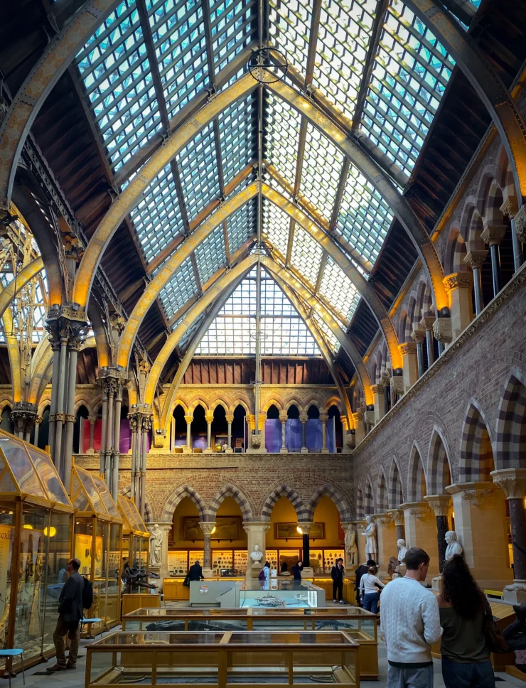 Oxford University Museum